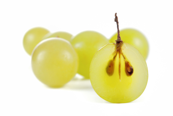 Kerne der Weintrauben für Traubenkernöl